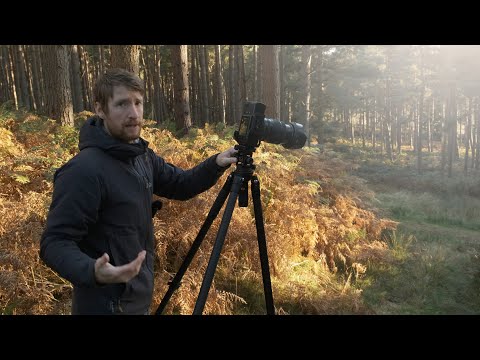 Landscape Photography in the Woods w/ Fujifilm GFX