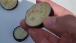 Eating Raw Eggplant For The First Time Salted And Plain