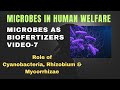 Microbes as Biofertizers/Economic role of Biofertizers #biofertilizer #microbesinhumanwelfare