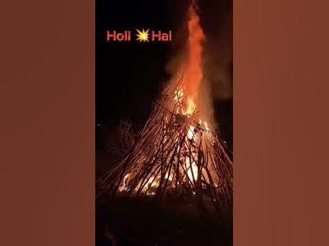 holi hai whatsapp video