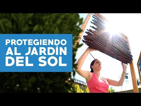 Video: ¿Voile protege del sol?