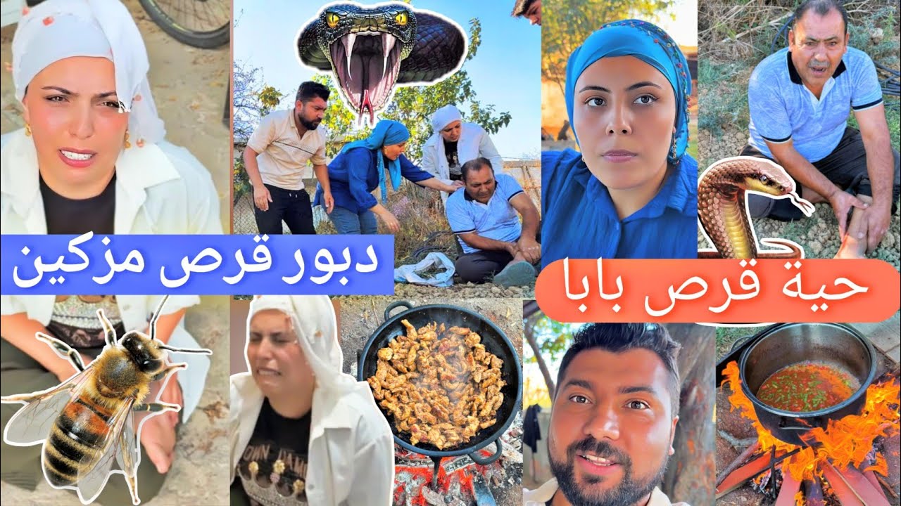 دبور قرصت اجر مزكين🐝ماتت من الوجع😭//حية قرص اجر بابا🐍