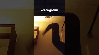 venca got me...