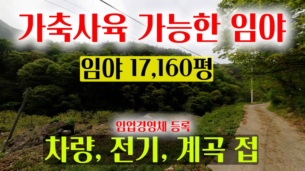 [1503] 차량진입, 전기, 계곡이 접하고 있으며 가축 사육이 가능한 임야매매