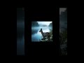 Soothing BGM to Unwind ✶ Forest &amp; Water Ambient | Perfect for Decompressing
