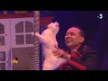 Cirque : numéro avec des chats par Vlad Olondar