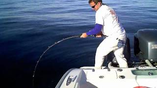 Shore Catch Guide Service