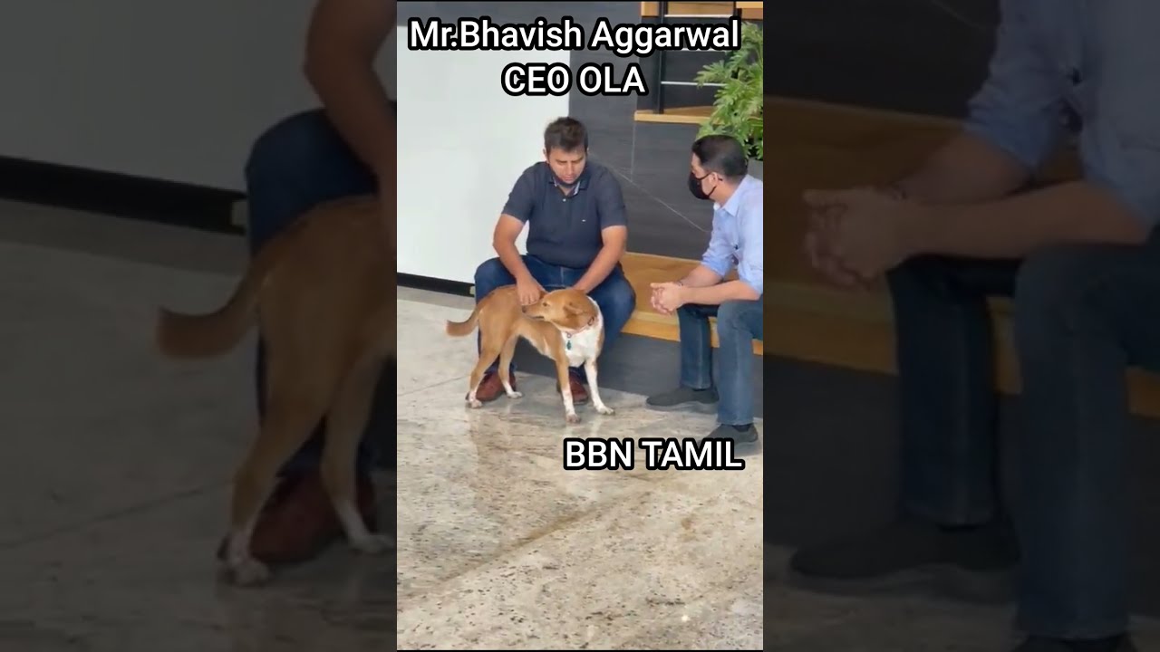 Bahvish Aggarwal|CEO Ola|real life||