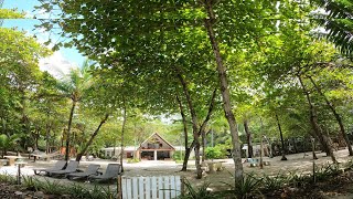 Welcome To Casa Cecilia   The First Beachfront B&B In Santa Teresa - Costa Rica