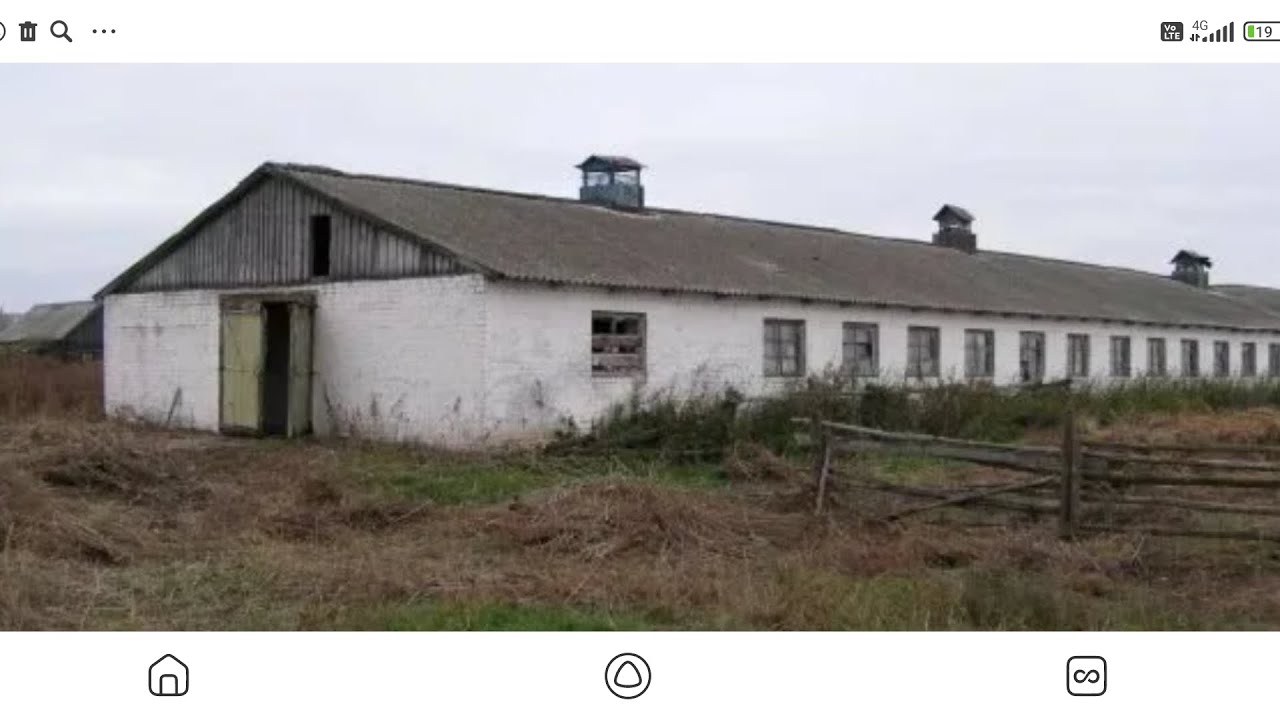 Ферма сотилади Ери 86 гектар 250та молга жой. Свет, Сув, Кул