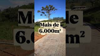 Drenagem e Pavimentação na Grota da Pedra