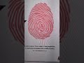 Atividade para Projeto de Vida