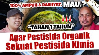 AGAR PESTISIDA ORGANIK SEKUAT PESTISIDA KIMIA, TAHAN 1 TAHUN, MAU.? | Insektisida Nabati | PESNAB