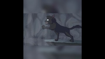 Wait! Don’t leave me! Please… //Crowpaw//Feathertail’s death// #warriorcats #editsongs