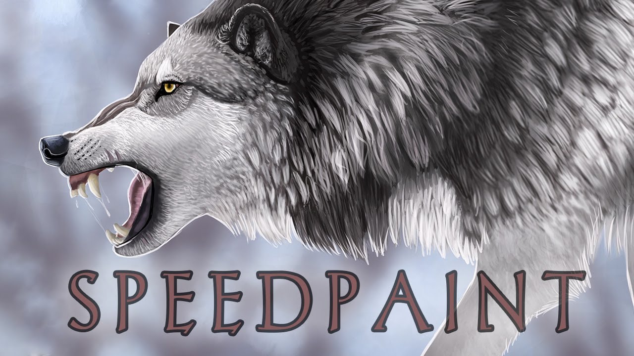 In For The Kill - [ Wolf Speedpaint ] - YouTube