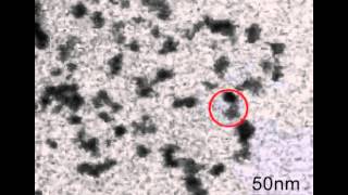images videos Powiekszanie sie nanodrobinek platyny 20150518 01 01 x264