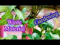 Waste material gardening organic green vatika