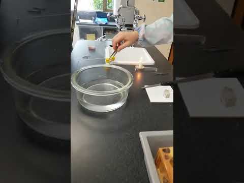 Video: Is natriumhidrosulfied 'n suur of 'n basis?