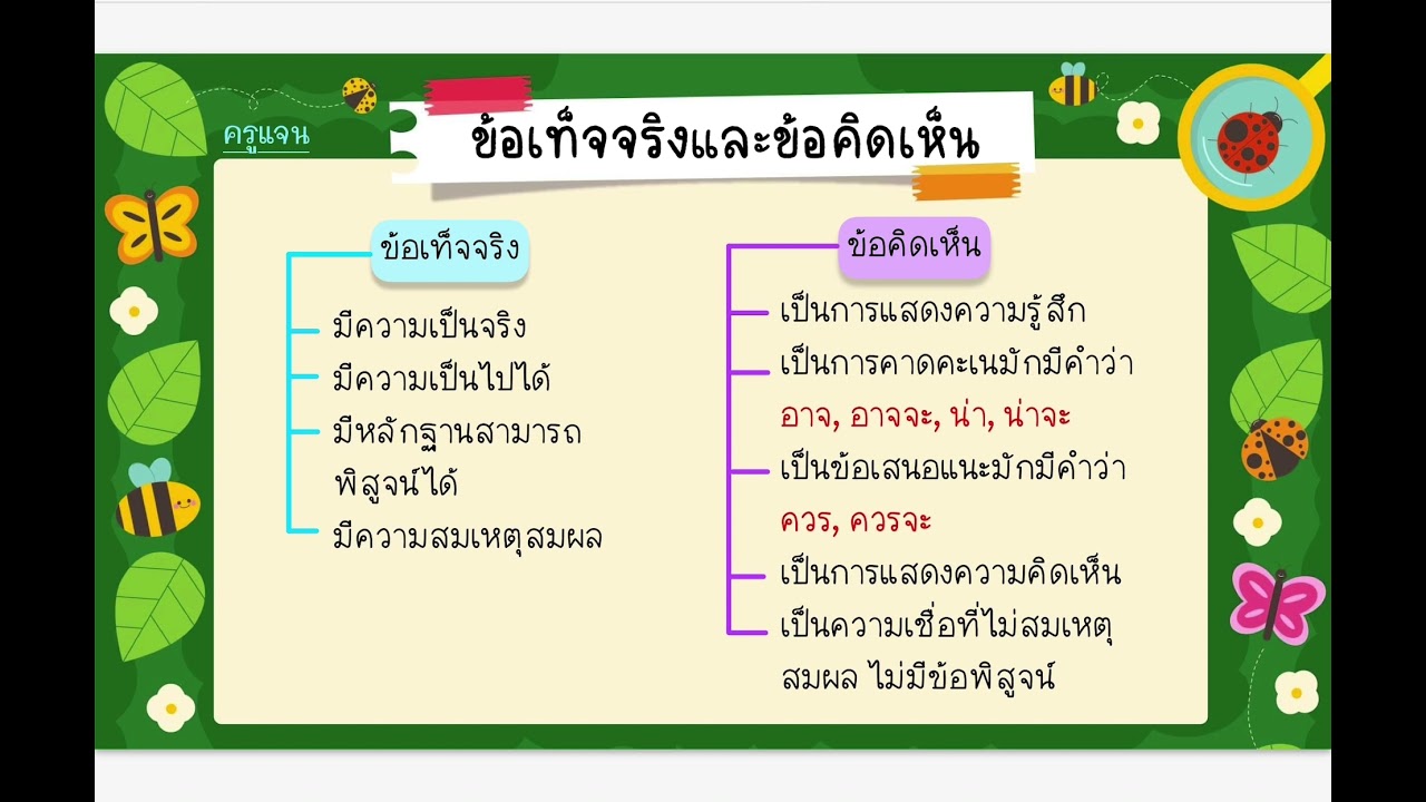 ข้อเท็จจริงและข้อคิดเห็น ป.4