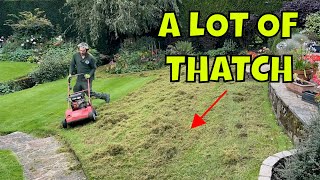 99.999% Of Lawns Are Like THIS , Here's How To FIX IT.