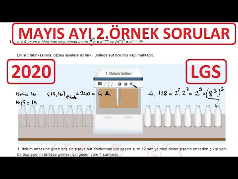 Mayıs Ayı Örnek Sorular LGS 2020