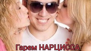 Гарем и любимые жены НАРЦИССА.