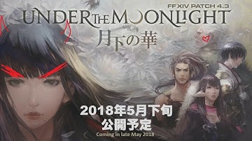 FFXIV Patch 4.3 Live Letter, Kinda