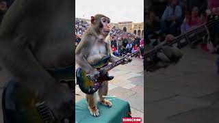 Viral Monkey Playing Guitar in Arab Square #empudstudiogrup #empudstudioai #shorts