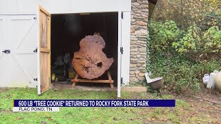 Slice of the biggest White Pine Tree returns to Tennessee state park