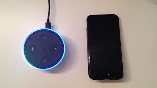 Alexa Echo & Skype Profile