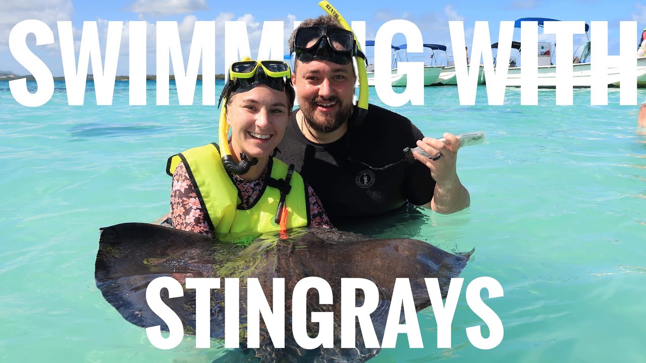 Swimming with Stingrays | Antigua