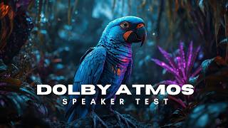 Dolby Atmos Object-Based Audio Demo | Ultimate Listening Experience