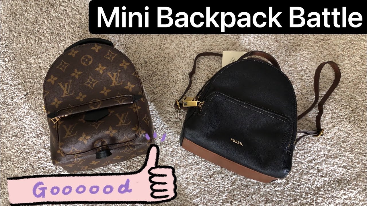 LV Palm Springs MM - unbagging and comparison with longchamp le