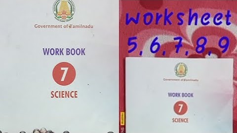 Bridge course 7th science worksheet 5, 6, 7, 8, 9 answers