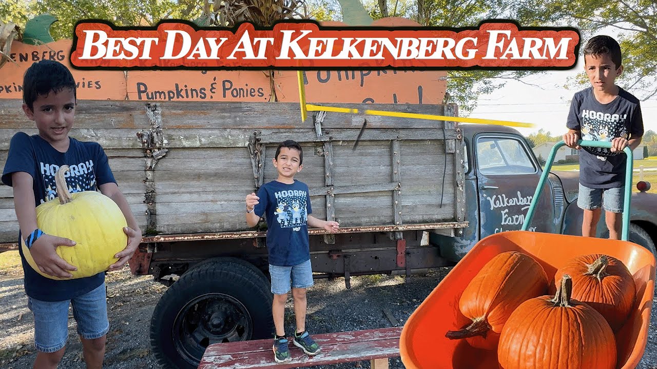 Amazing Day at the Pumpkin Patch – Animals, Games & Fun!