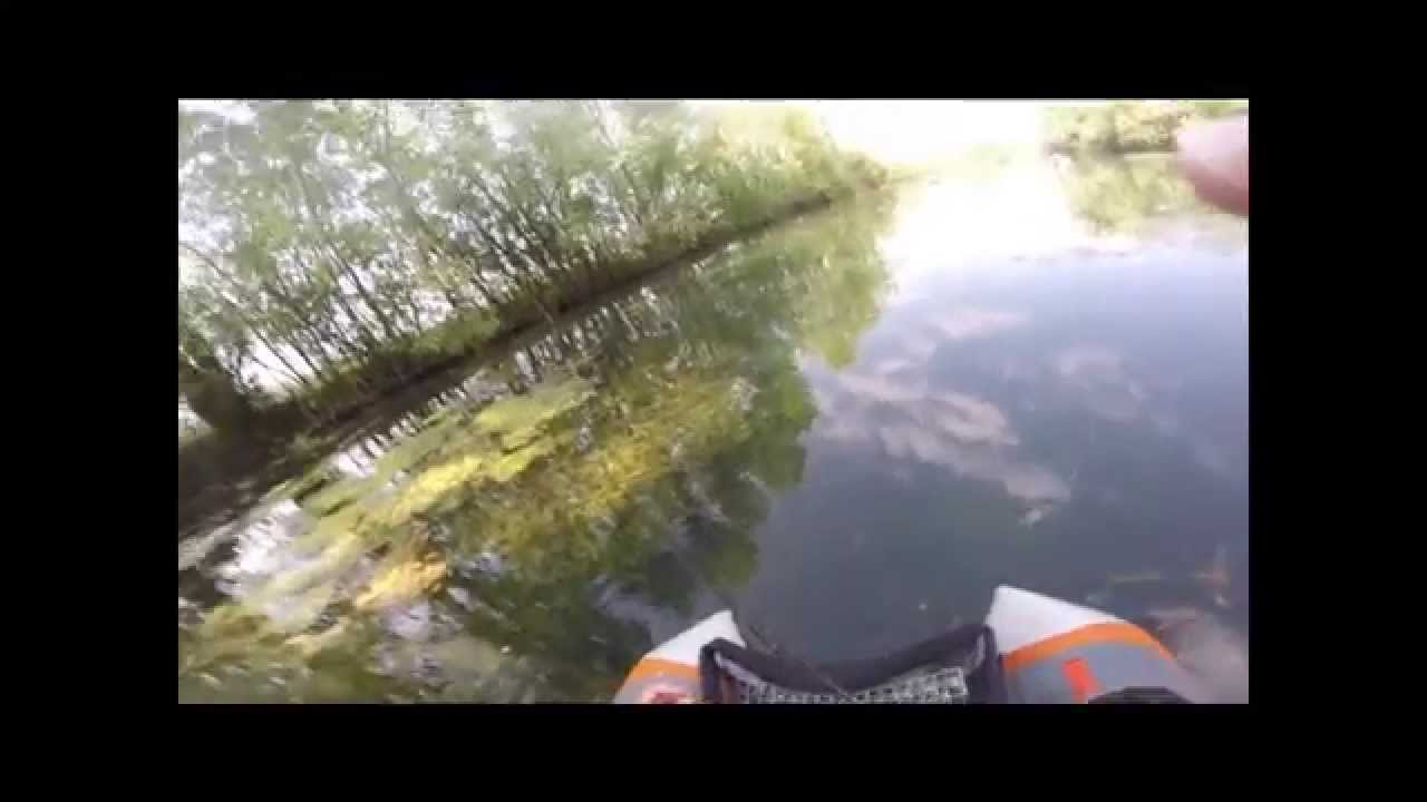 Bass Fishing France YouTube