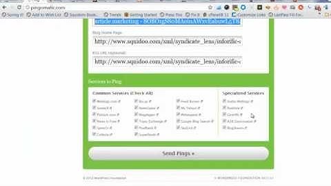 Blog Pinging What is it, How and Why You Should Do It.mp4