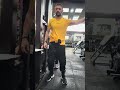 Alzate laterali 1 braccio al cavo