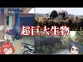 【ゆっくり解説】実在した超巨大生物たち『おおきないきもの』