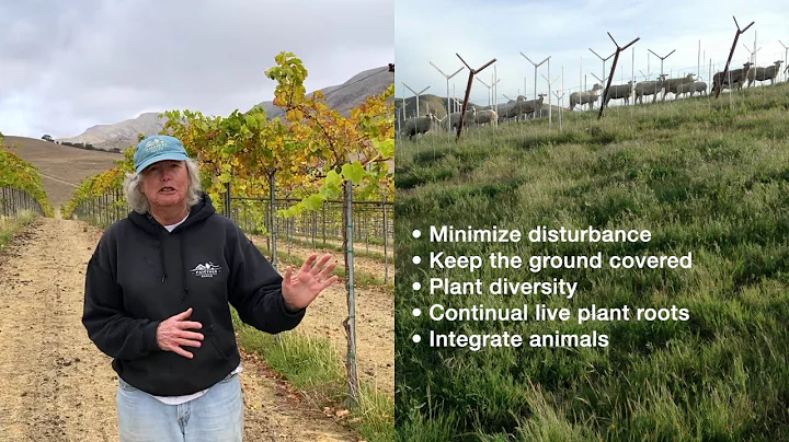 Paicines Ranch vineyard w/ Sallie Calhoun