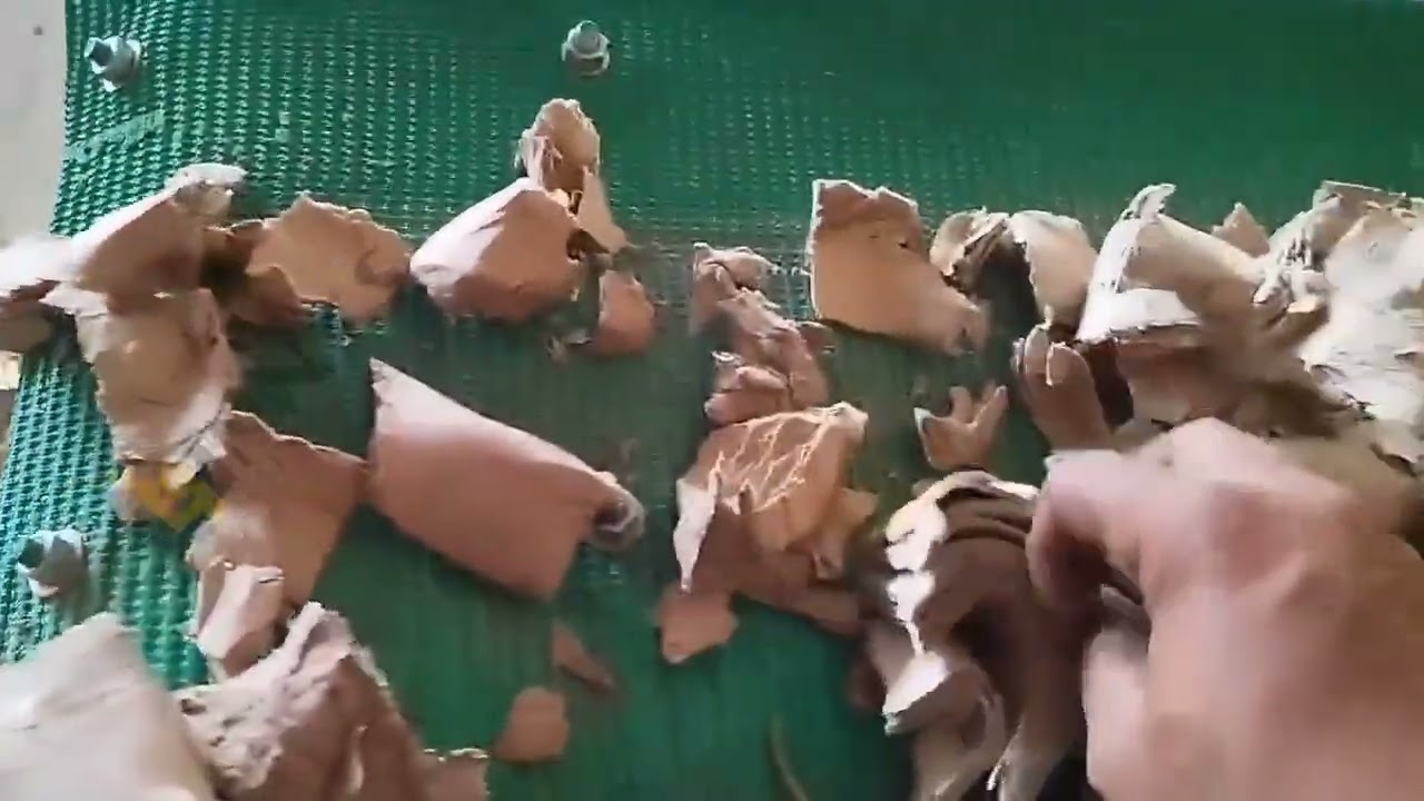 MSW Shredder Machine