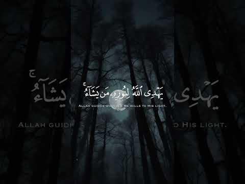 نور على نور تلاوة هادئة تريح القلب اكسبلور المصحف قرآن قران كريم 