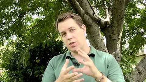 Schema Theory and Cognitive Load Theory