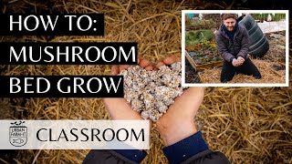 How To Setup A Mushrooms Bed For Outdoor Growing (Step by Step Guide) | Urban Farm -It's Classroom