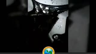 Download lagu Bencana Alam Sentani kab Jayapura Bencana Alam Sentani kab Jayapura