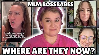 картинка: НУ ЭТО НЕ ХОРОШО: ИЗДАНИЕ MLM BOSSBABE