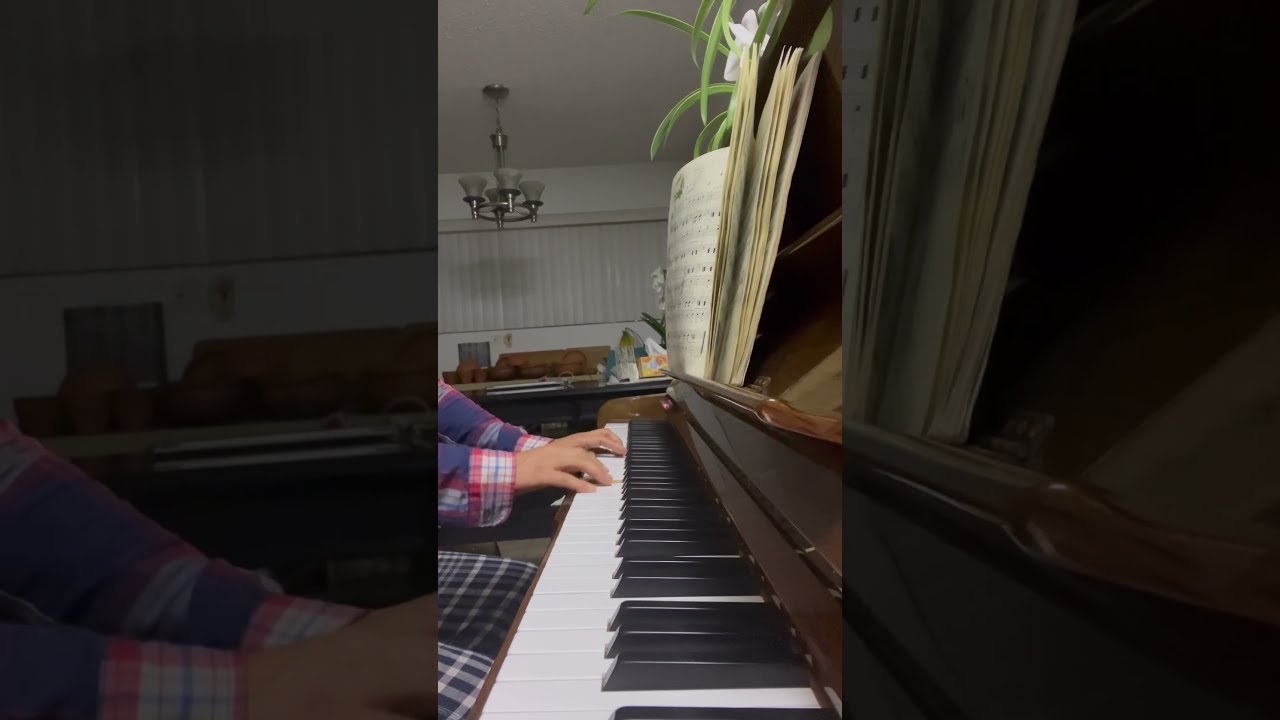 Piano Practice Day 48 Full Got Little Better After So Many Practices 