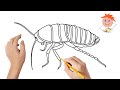 How to draw a cockroach | Easy drawings