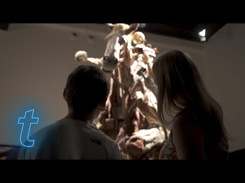 Toby visits BODY WORLDS to meet Junior Doctor Lead, Elle Wilson | Ticketmaster UK