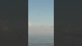 ลมเยนสบายๆ กบววสวยๆ